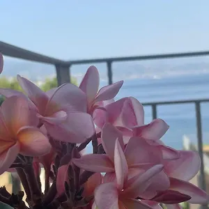  Appartamento Casa Cannoni - Delizioso Fronte Mare Vista Stretto Di