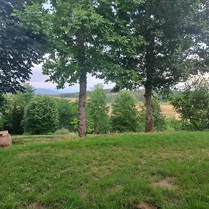 Margherita , Crespina Italia